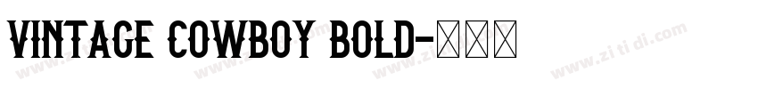 Vintage Cowboy Bold字体转换